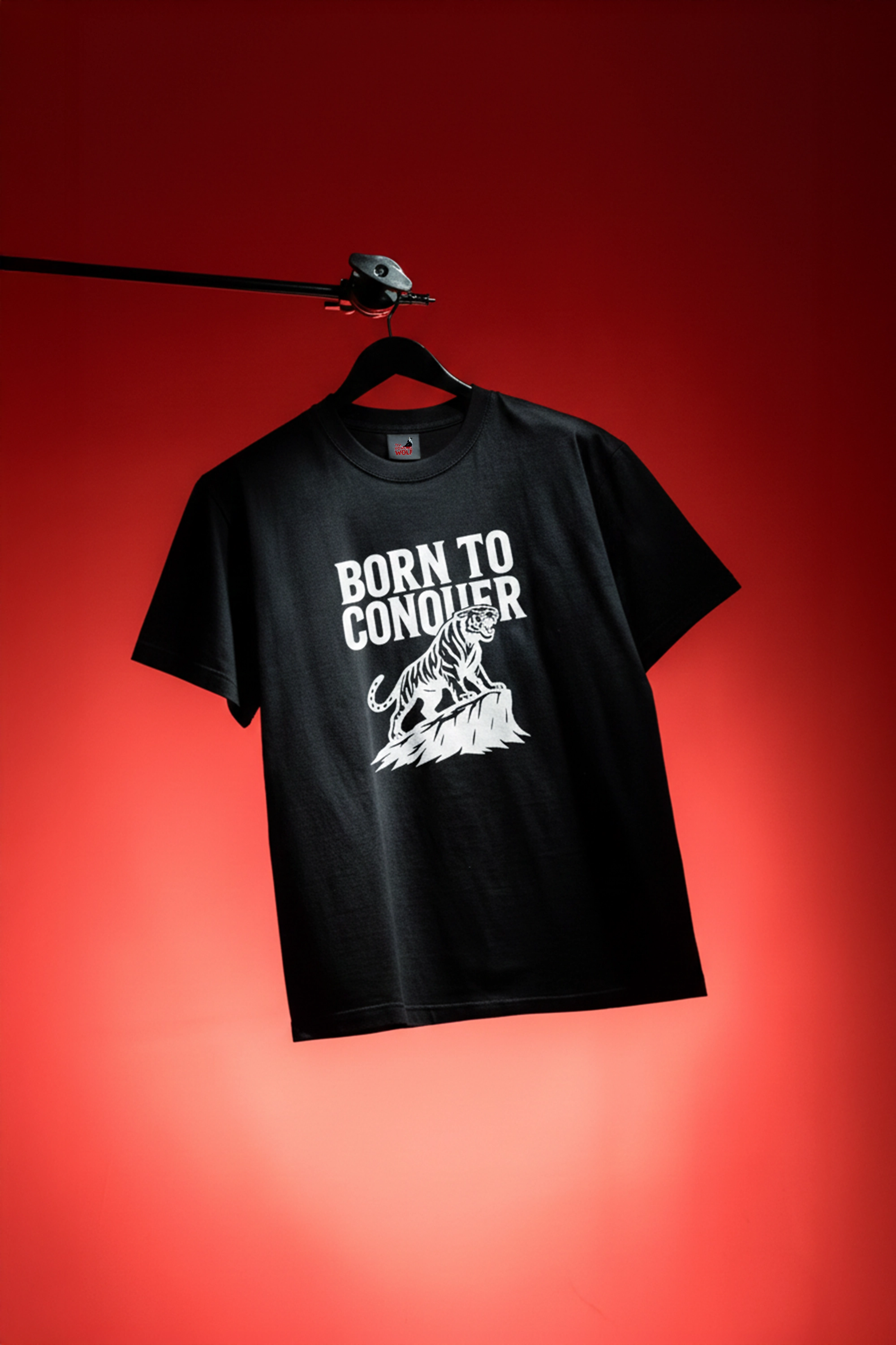 Born To Conquer Graphic Printed T-Shirt for Men & Women